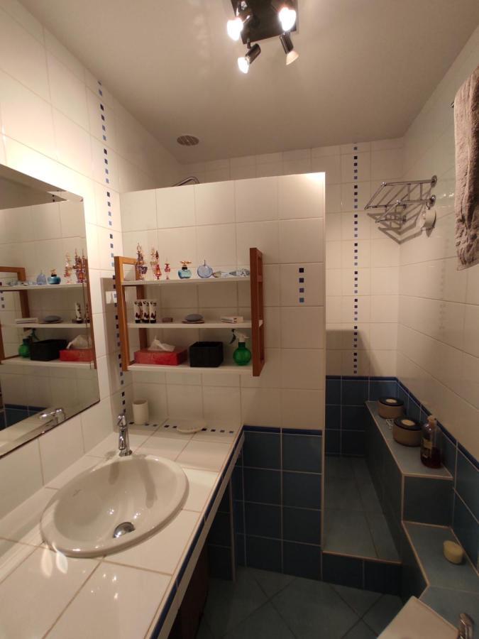 Appartement Calme Proche Toulouse Saint-Jean  Eksteriør bilde